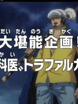 Ван-Пис: Кампания по прославлению! Хирург смерти Трафальгар Ло!